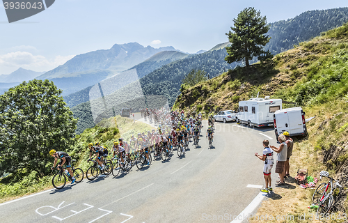 Image of The Peloton on Col d'Aspin - Tour de France 2015