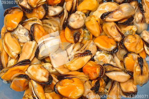 Image of Mussels Without Shell