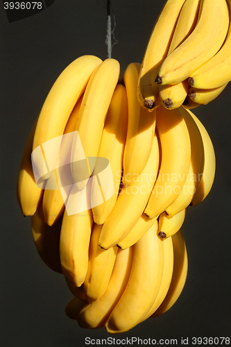 Image of Bananas