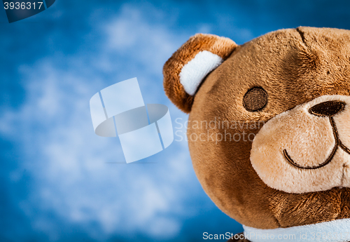 Image of Lovely Teddy Bear