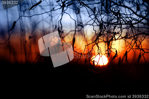 Image of Sunset background