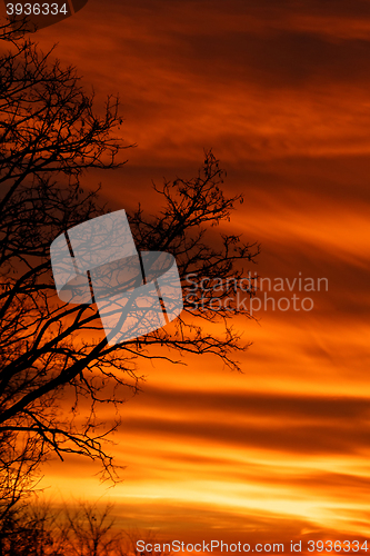 Image of Sunset background