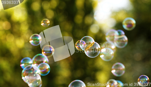 Image of Soap bubbles