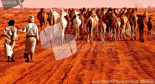 Image of Caravan in the desert