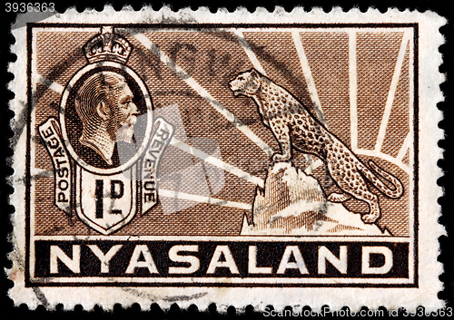 Image of African Leopard Stamp