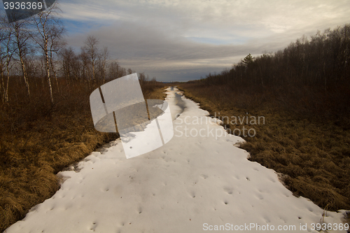 Image of winter forest and blue sky with clouds