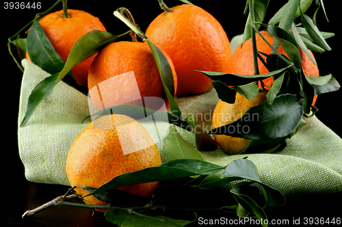 Image of Ripe Tangerines with Leafs