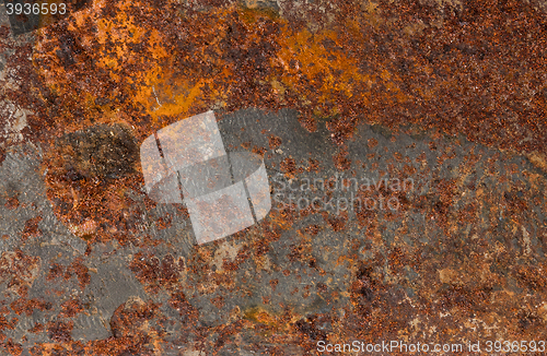 Image of Rust backgrounds - Metal covert in rust