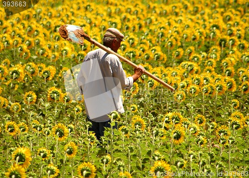 Image of Farmer