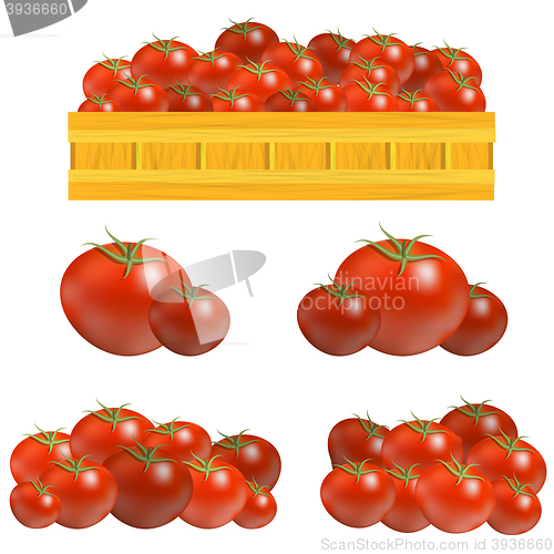 Image of Set of Fresh Red Tomatoes