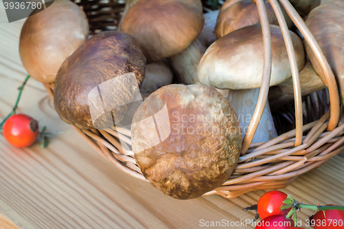 Image of White strong mushrooms in a basket on the table surface