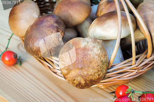Image of White strong mushrooms in a basket on the table surface