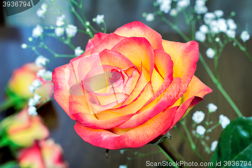 Image of A bouquet of roses on light green background.