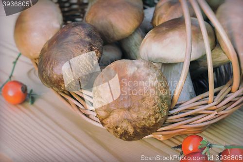 Image of White strong mushrooms in a basket on the table surface