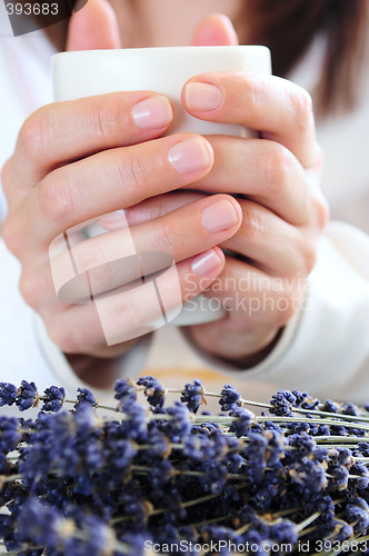 Image of Hands holding a cup