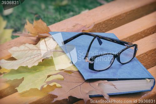 Image of Books, glasses and fallen leaves on a Park bench.