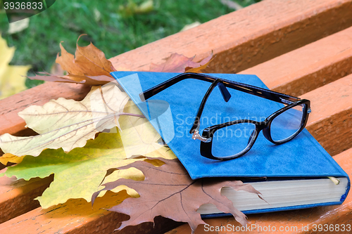 Image of Books, glasses and fallen leaves on a Park bench.
