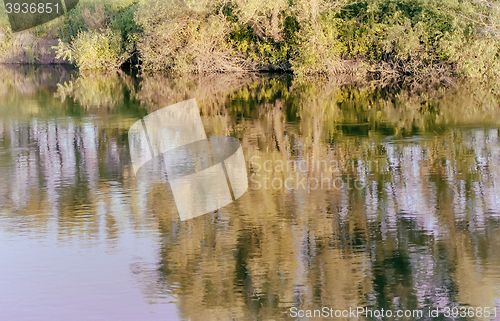 Image of The autumn wood on the bank of the big beautiful lake