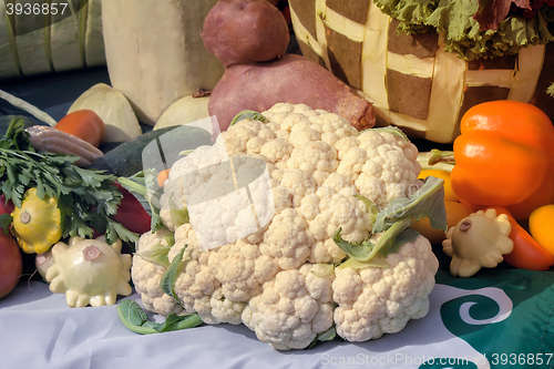 Image of Vegetable harvest is sold at the fair.