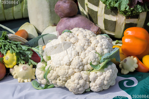 Image of Vegetable harvest is sold at the fair.