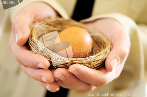 Image of Hands holding nest with an egg