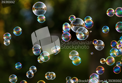 Image of Soap bubbles