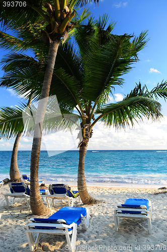 Image of Sandy beach of tropical resort