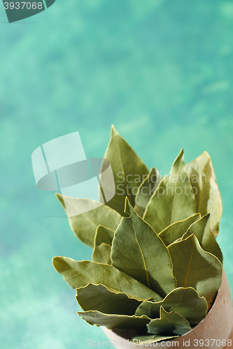 Image of Bunch of a dried laurel leaves