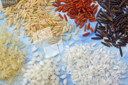 Image of Variety of rice grains over painted textile background