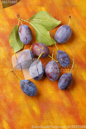 Image of Damson plum (damascene) fruits over painted textile background