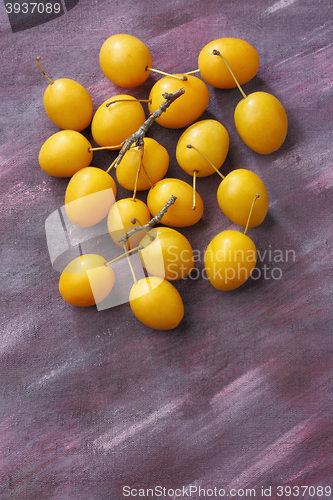 Image of Yellow mirabelle plum fruits over painted textile background