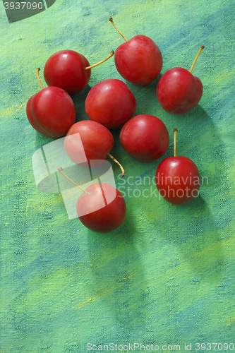 Image of Red mirabelle plum fruits over painted textile background