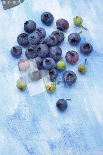 Image of Blueberries over painted textile background