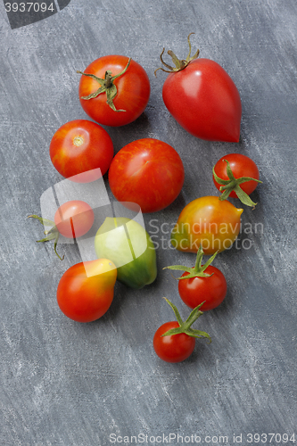 Image of Variety of tomato fruits over painted textile background