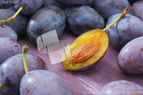 Image of Damson plum (damascene) fruits