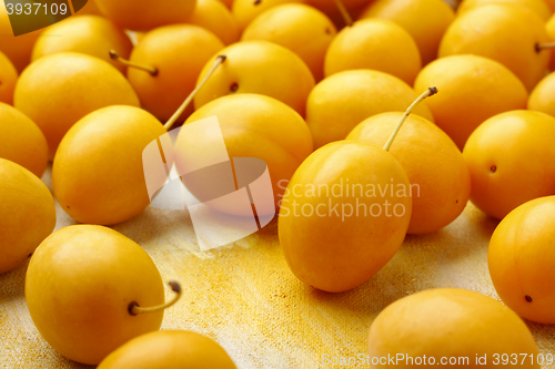 Image of Yellow mirabelle plum fruits