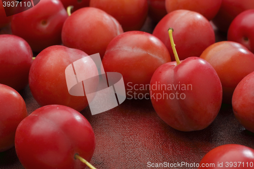 Image of Red mirabelle plum fruits