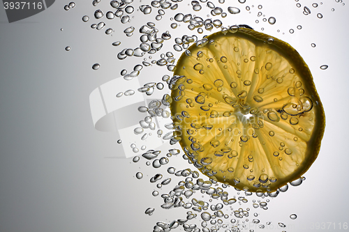 Image of Lemon slice with air bubbles
