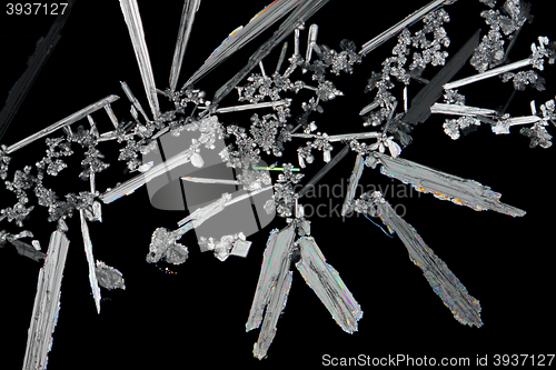 Image of Potassium nitrate (saltpeter) crystals in polarized light