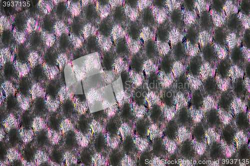 Image of Nylon cloth in polarized light