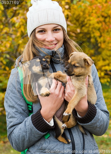 Image of  Girl with puppies