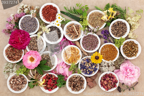 Image of Herbs and Flowers for Healing