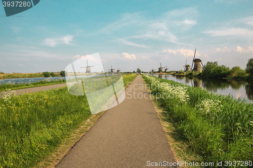 Image of Traditional Dutch windmills with green grass in the foreground, The Netherlands