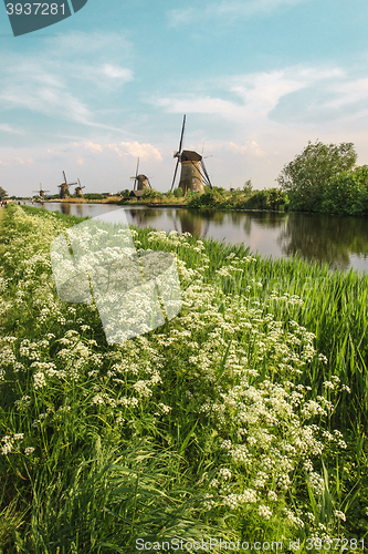 Image of Traditional Dutch windmills with green grass in the foreground, The Netherlands