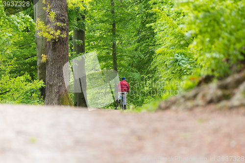 Image of Cyclist Riding Bycicle on Forest Trail.