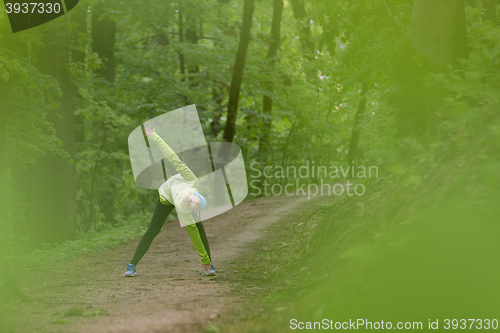 Image of Sporty woman  working out in forest. 