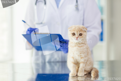 Image of close up of vet with clipboard and cat at clinic