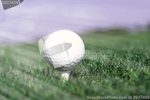 Image of Golf ball in tall green grass