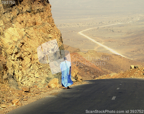 Image of Alone In The Desert