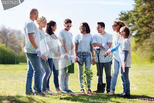 Image of group of volunteers planting tree in park